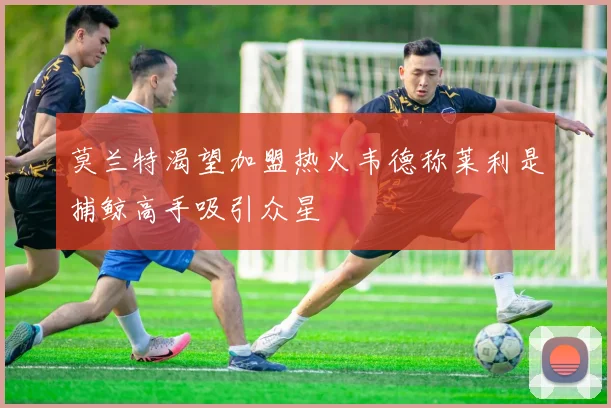 莫兰特渴望加盟热火韦德称莱利是捕鲸高手吸引众星